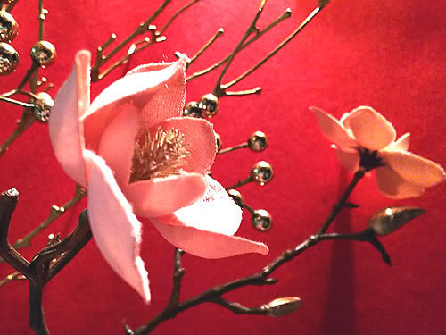 20190117a.jpg