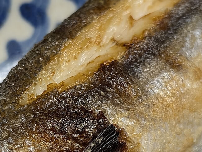 20250513c.jpg